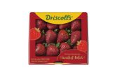 Sweetest Batch Strawberries