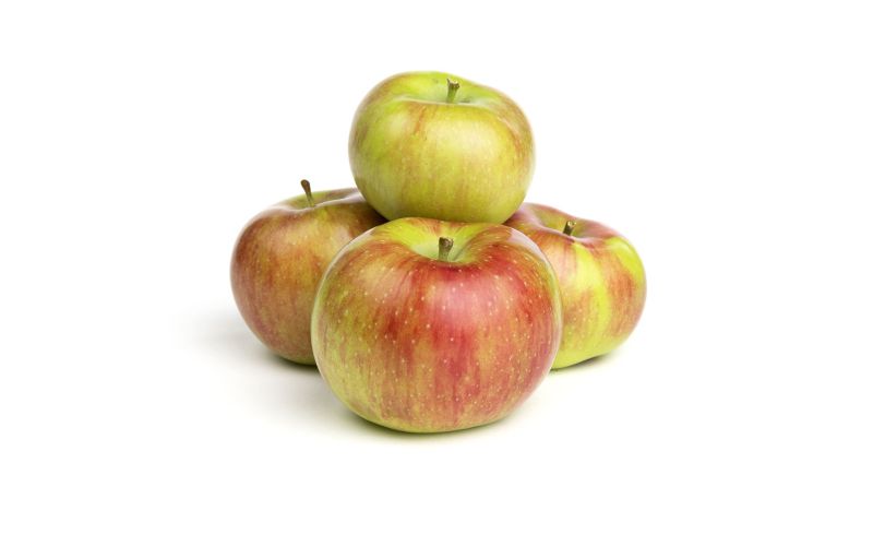 Rambour Franc Heirloom Apples