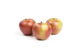 Mollie's Delicious Heirloom Apples