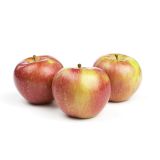 Mollie's Delicious Heirloom Apples