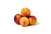 Fall Fiesta Plumcots