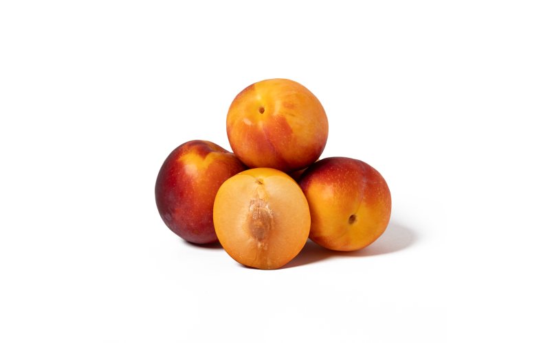 Fall Fiesta Plumcots