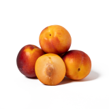 Fall Fiesta Plumcots