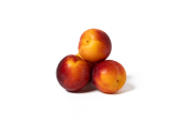 Fall Fiesta Plumcots