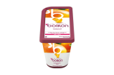 Mango Puree 100%