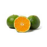 Green Emerald Mandarins