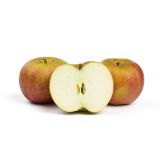 Belle de Boskoop Heirloom Apples
