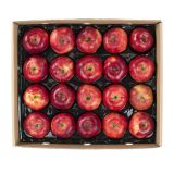 Panta-Pack Red Delicious Apples