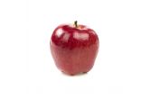 Panta-Pack Red Delicious Apples