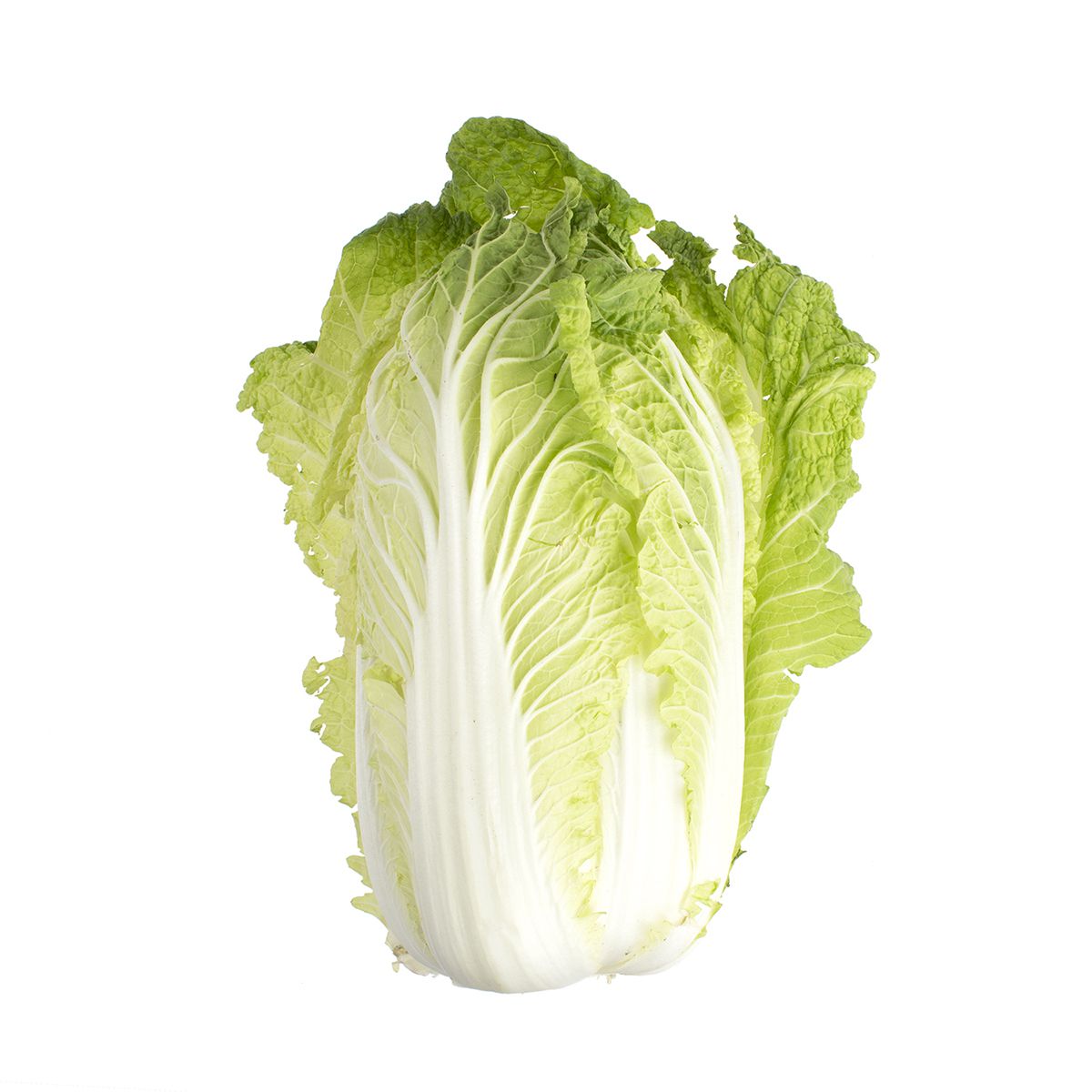 Napa Cabbage | Cabbage Other | Baldor Specialty Foods