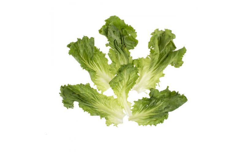 Green Leaf Crowns Vegetables Baldorfood Green Leaf Crowns Vegetables Baldorfood