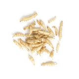 Crosnes