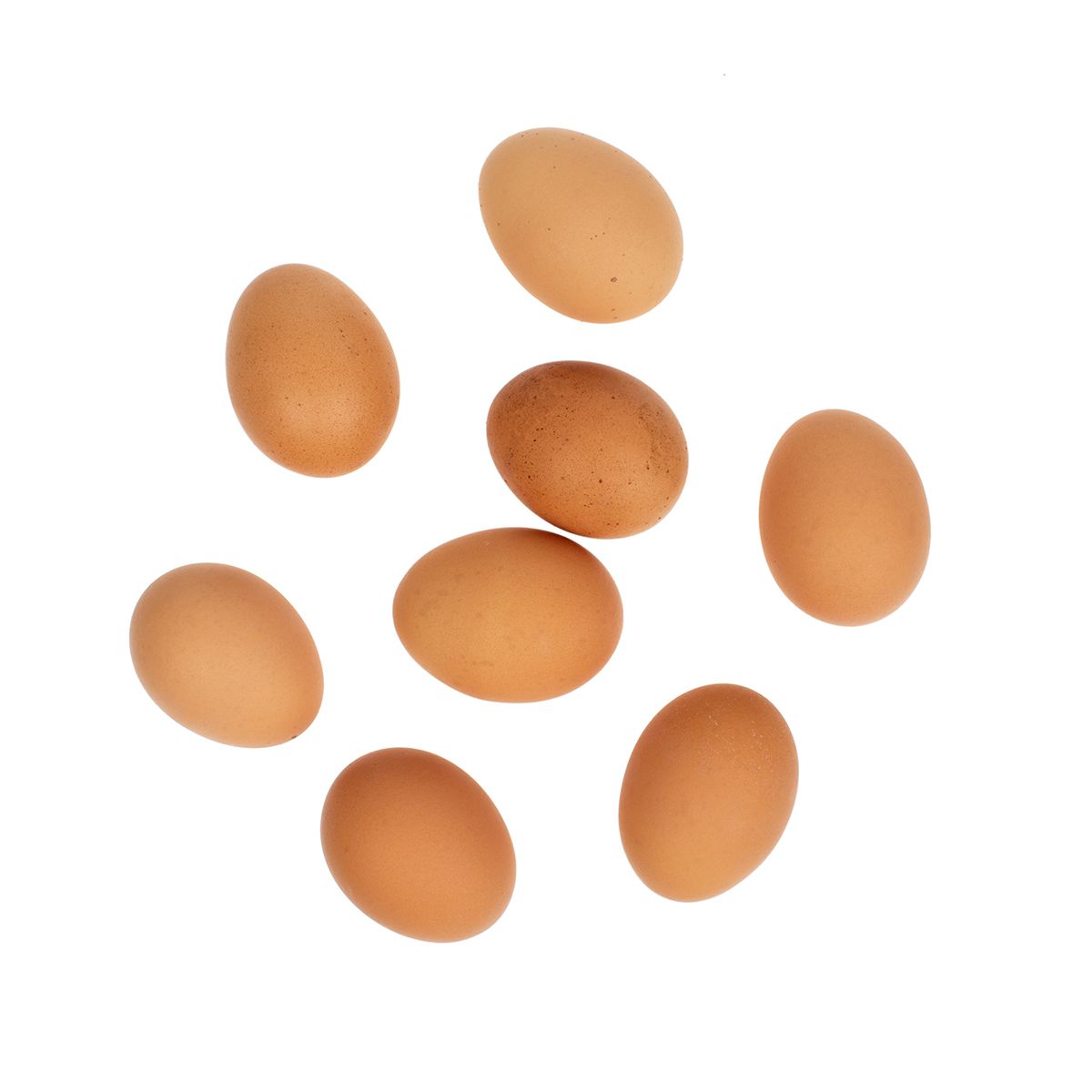 Organic CageFree Large Egg Cartons Organic Eggs Baldor Specialty Foods