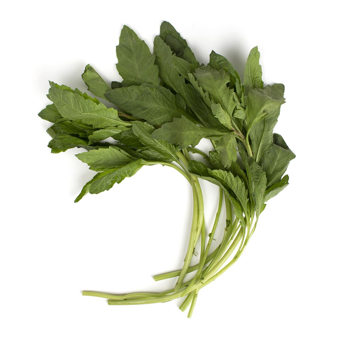 Epazote Fresh Herbs Other Baldor Specialty Foods