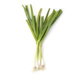 Spring Garlic