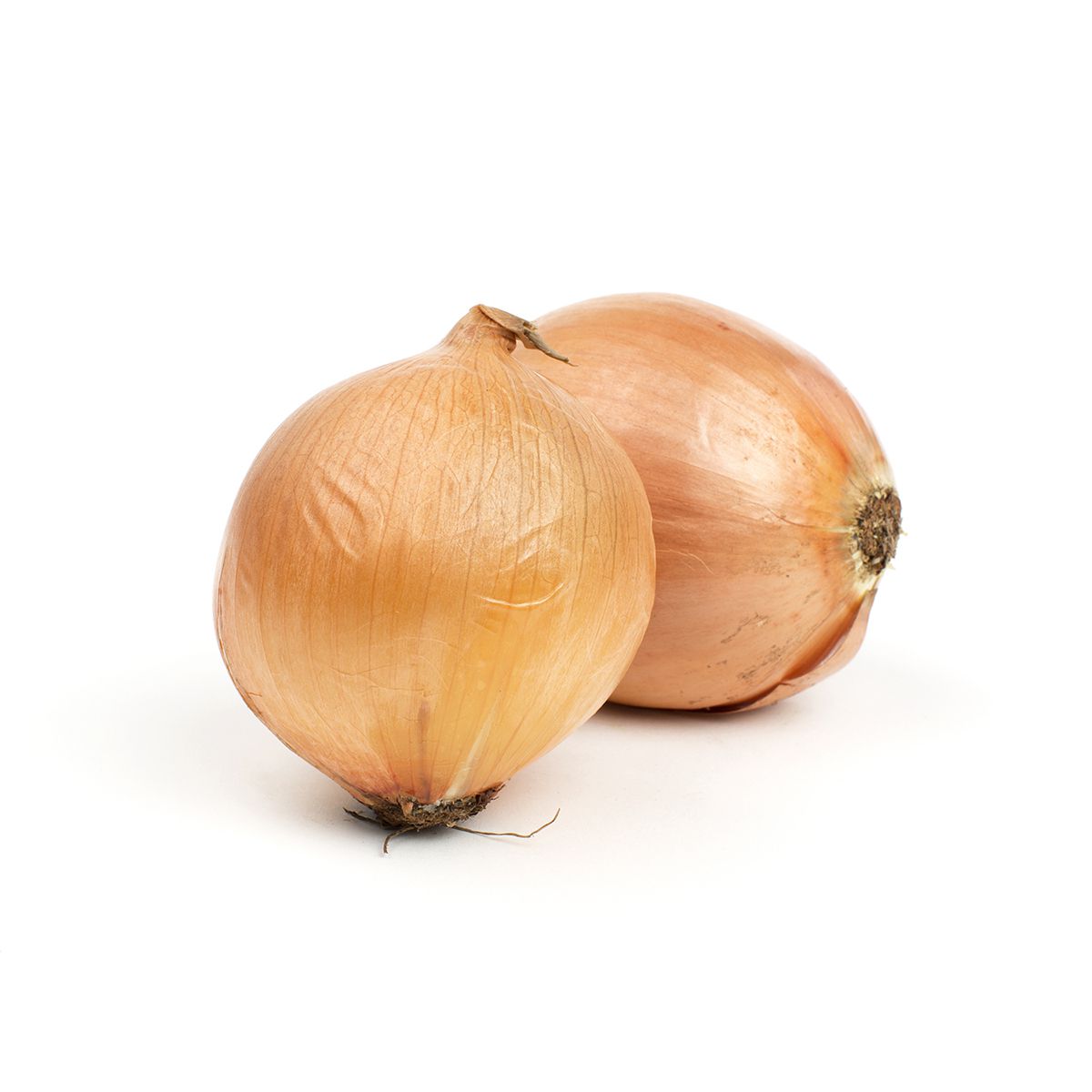 Spanish Onions Yellow Onions Baldor Specialty Foods