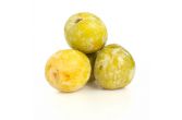 Sierra Honey Plumcots