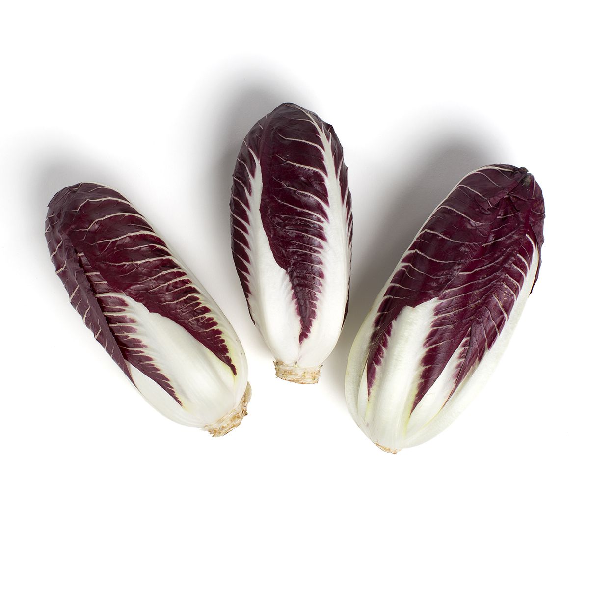 Trevisano | Radicchio | Baldor Specialty Foods