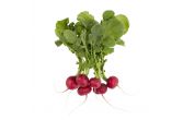 Bunched Radishes