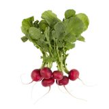 Bunched Radishes