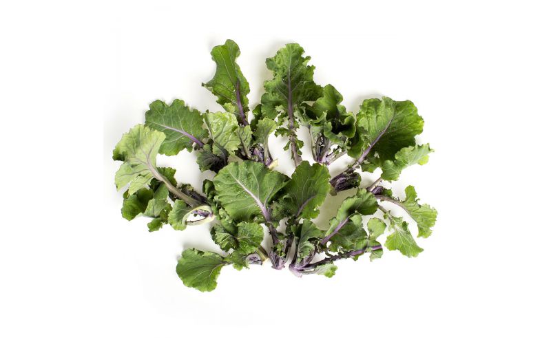 pix What Do Kale Sprouts Look Like lollipop kale sprouts vegetables