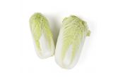 Organic Napa Cabbage