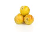Organic Emerald Beaut Pluots