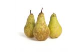 Organic Abate Fetel Pears