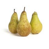 Organic Abate Fetel Pears
