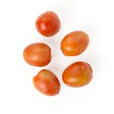 Organic XL Plum Tomatoes