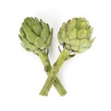 Long Stem Artichokes