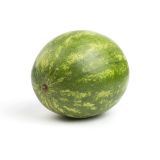 Seedless Watermelon Bin