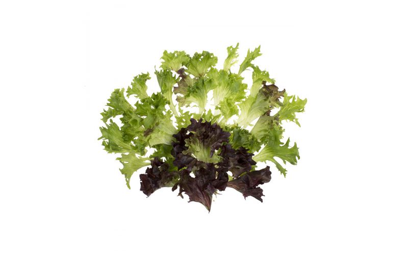 kamera Çıplak bir diğeri  Arcadian Harvest Mix | Vegetables | Baldor Specialty Foods