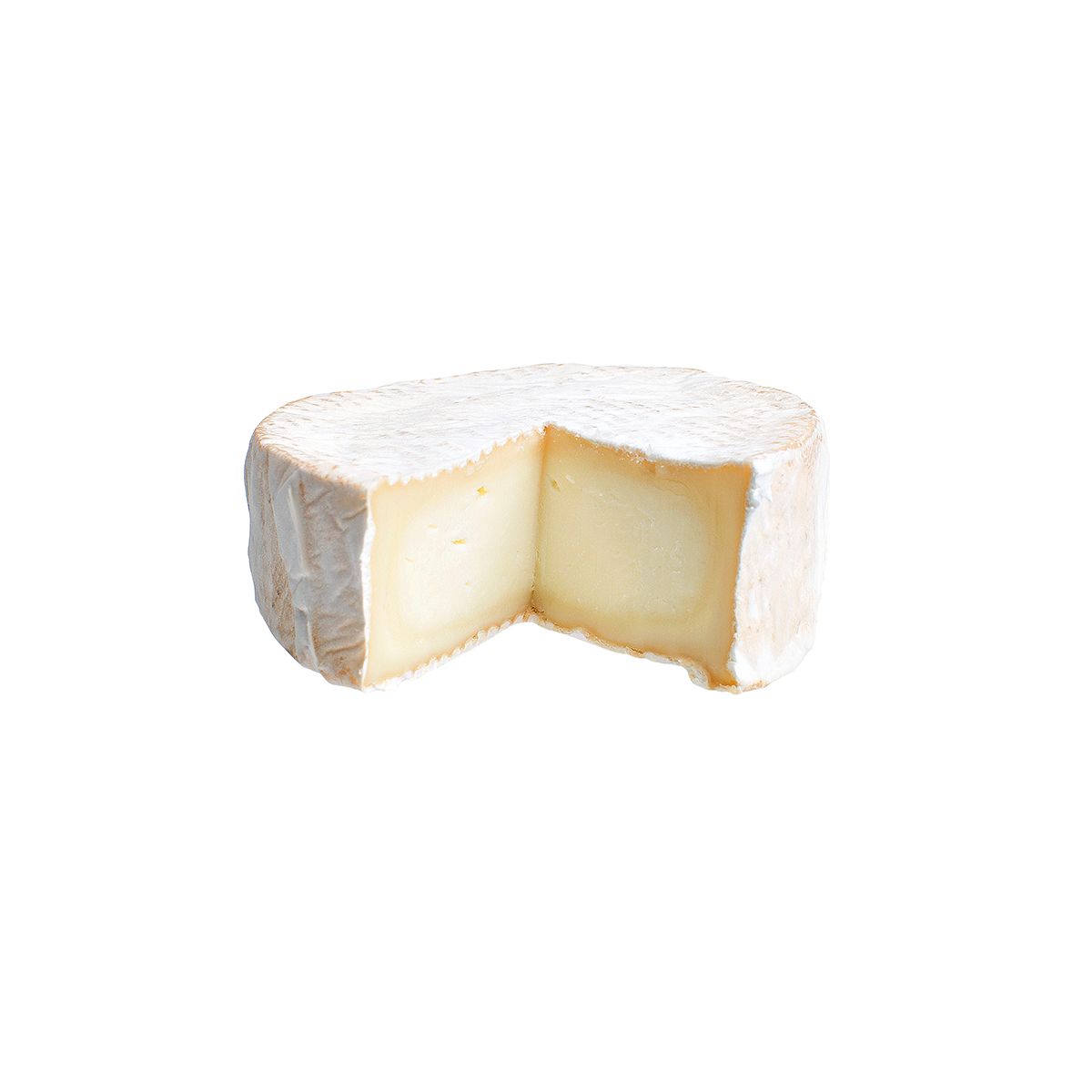 Mini Kinderhook Creek Cheese | Creamy & Bloomy | Baldor Specialty Foods