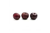 Ebony Sweet Black Plumcots
