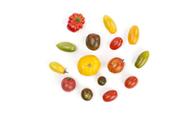 Mixed Medium Heirloom Tomatoes