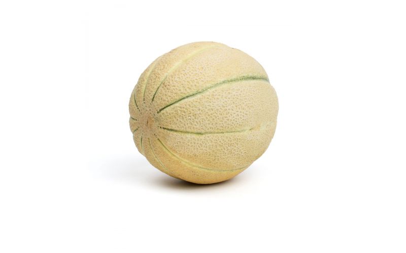 Heirloom Cantaloupe Melons