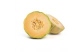 Heirloom Cantaloupe Melons