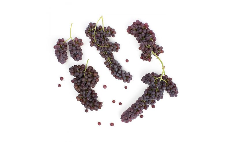 Champagne Grapes