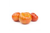 Extra Large Tomatoes