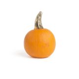Small Pumpkin 5-10 LB