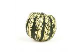 Dumpling Squash