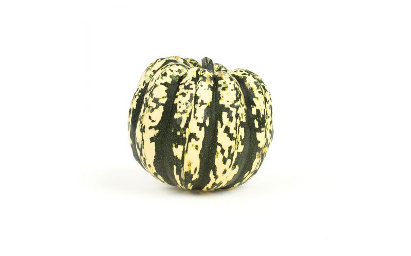 Dumpling Squash