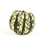 Dumpling Squash