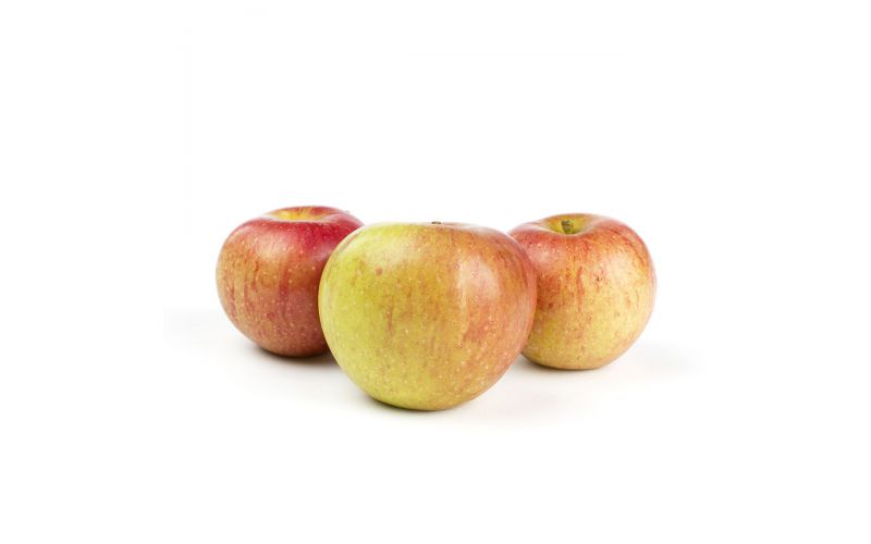 Cox's Orange Pippin Heirloom Apples