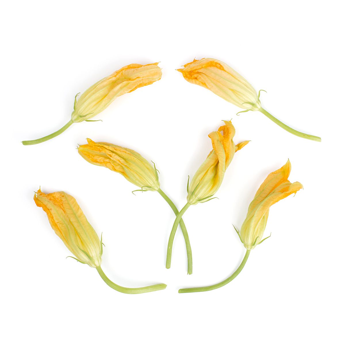 Squash Blossoms | Flowers & Blossoms | Baldor Specialty Foods